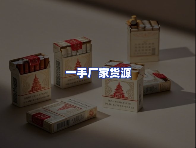 专业团队